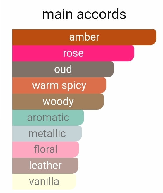 Dolce Gabbana the one mysterious night partial bottle